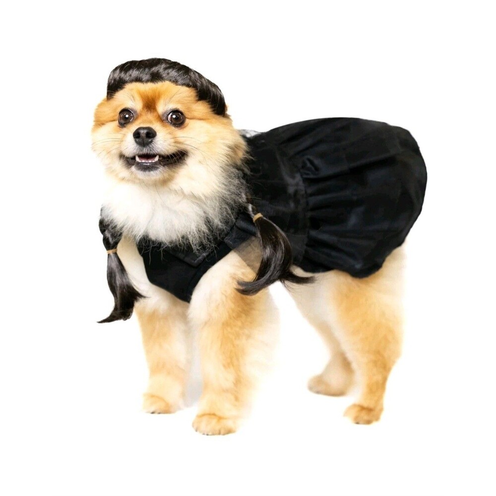 Vibrant Life Gothic Witch Dog/Pet Halloween Costume Wig & Outfit S (10-20Lbs)